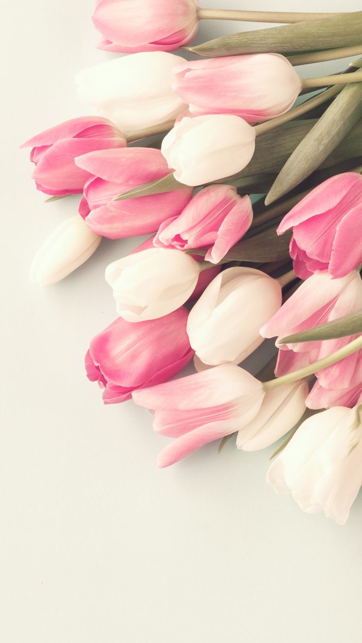 Flower iphone wallpaper, Pink flowers