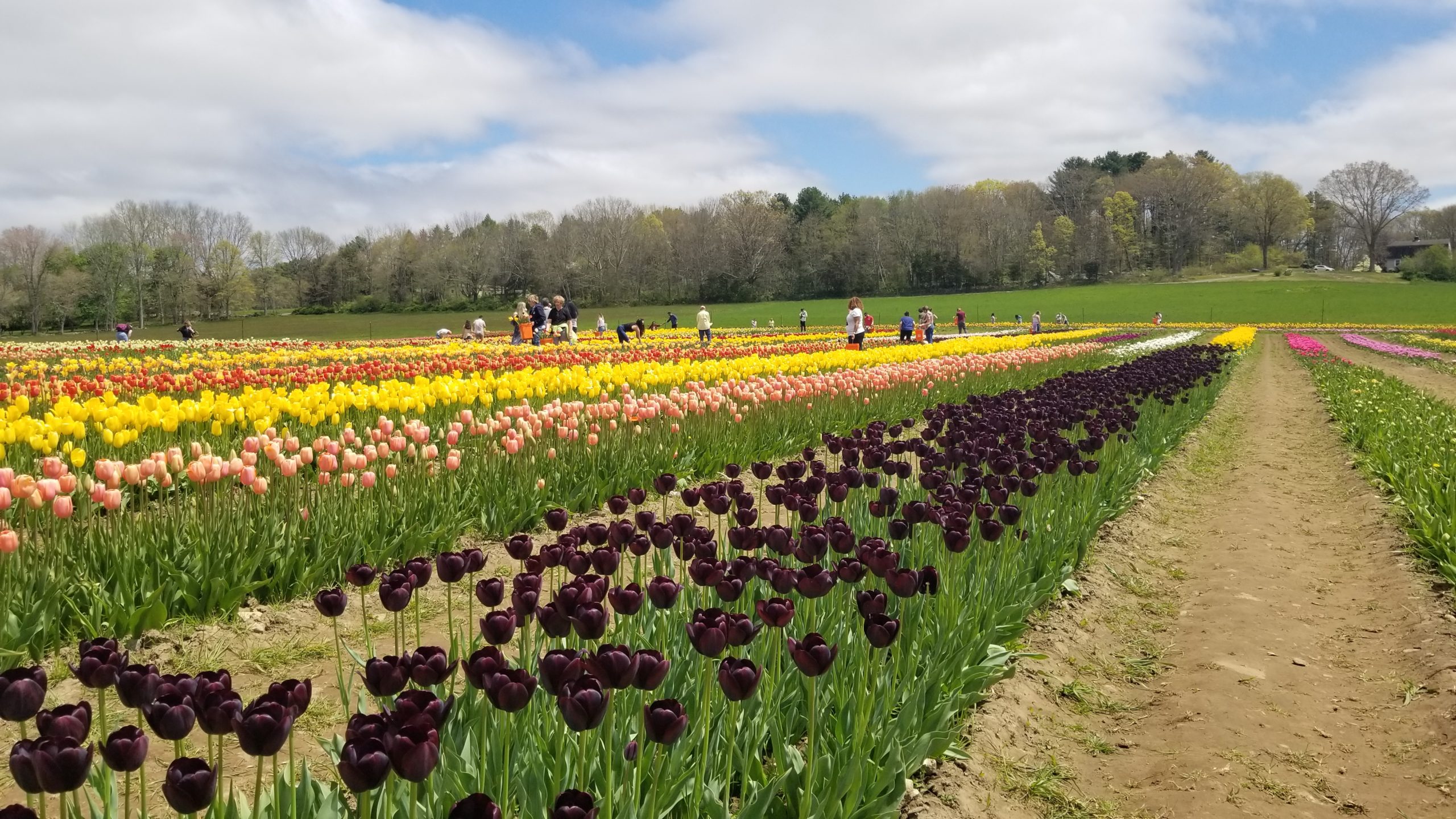Springtime in New England