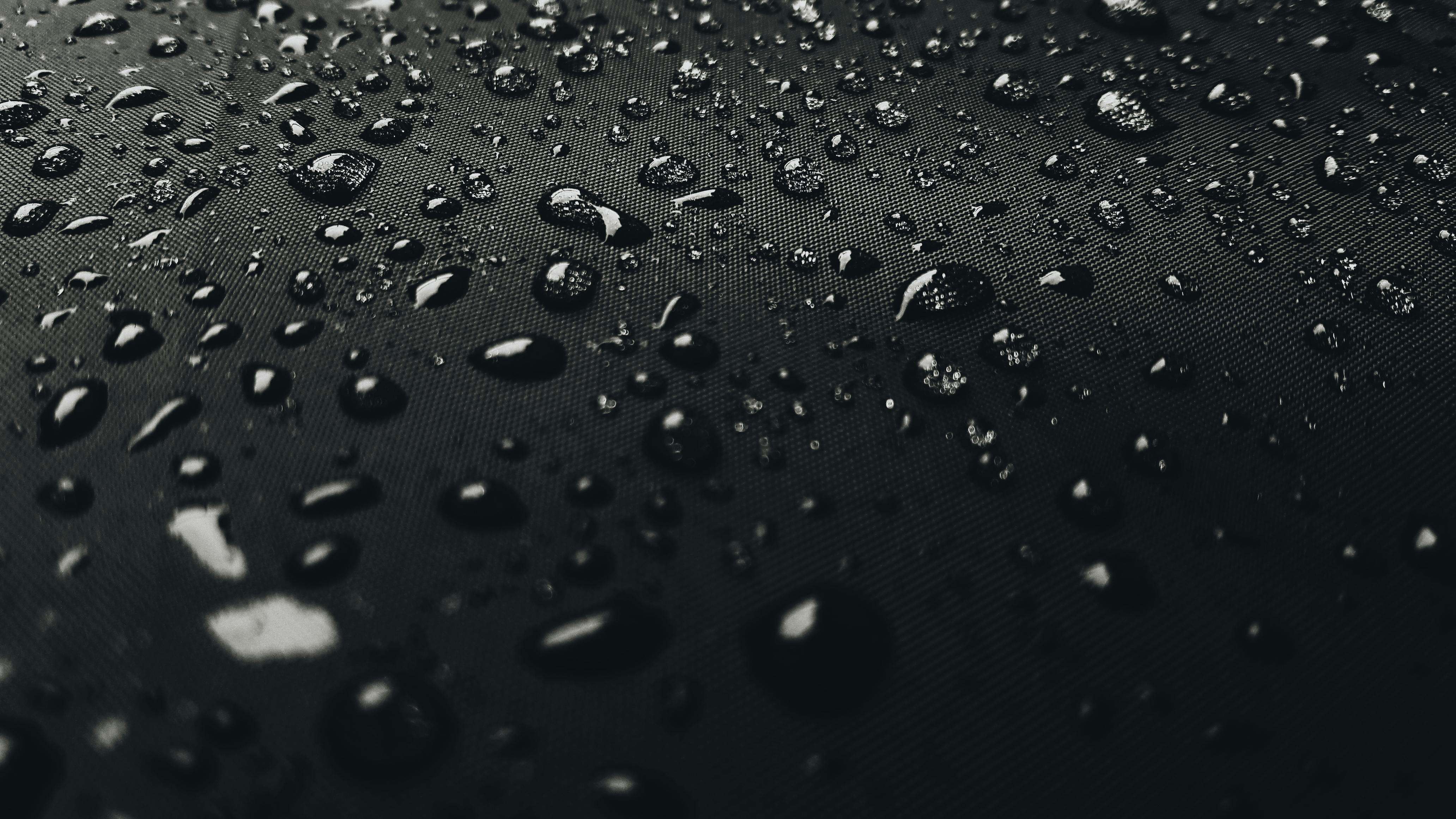 Macro Photography of Rain Drops
