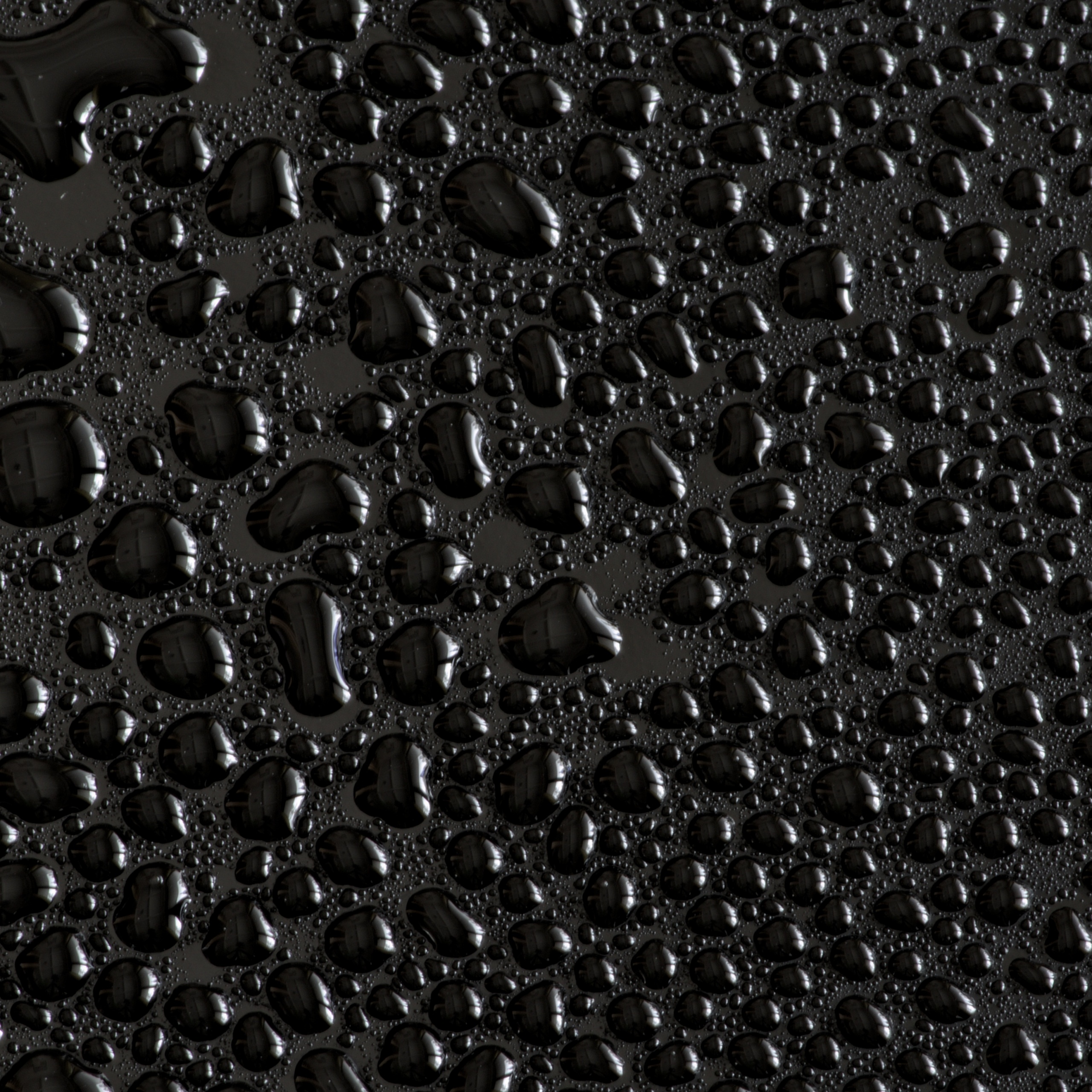Water droplets Wallpaper 4K, Black