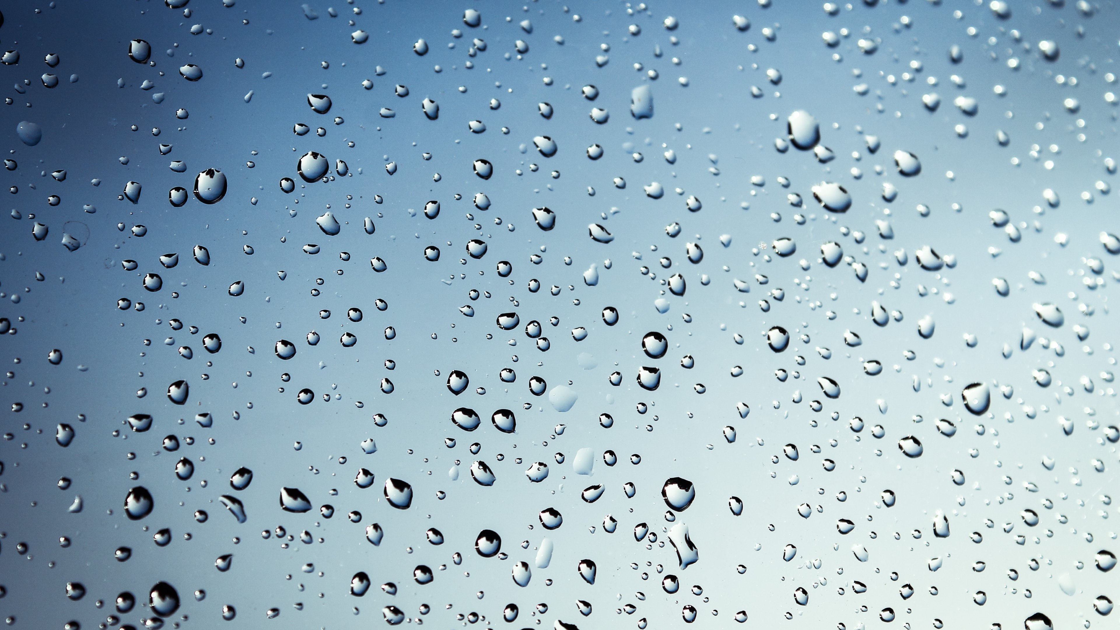 Rain Wallpaper for Windows 7