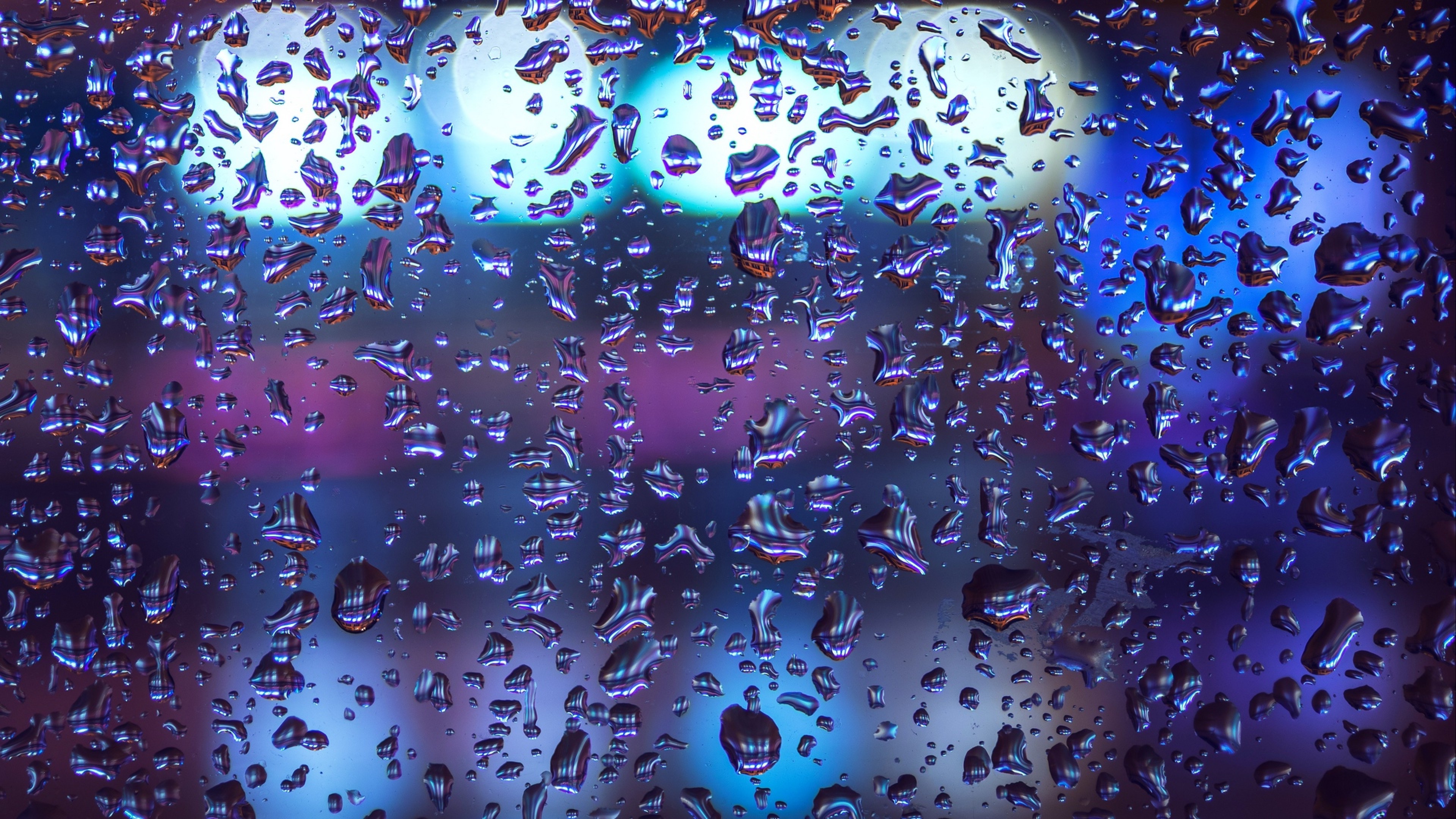 Rain drops macro image HD Wallpaper 4K
