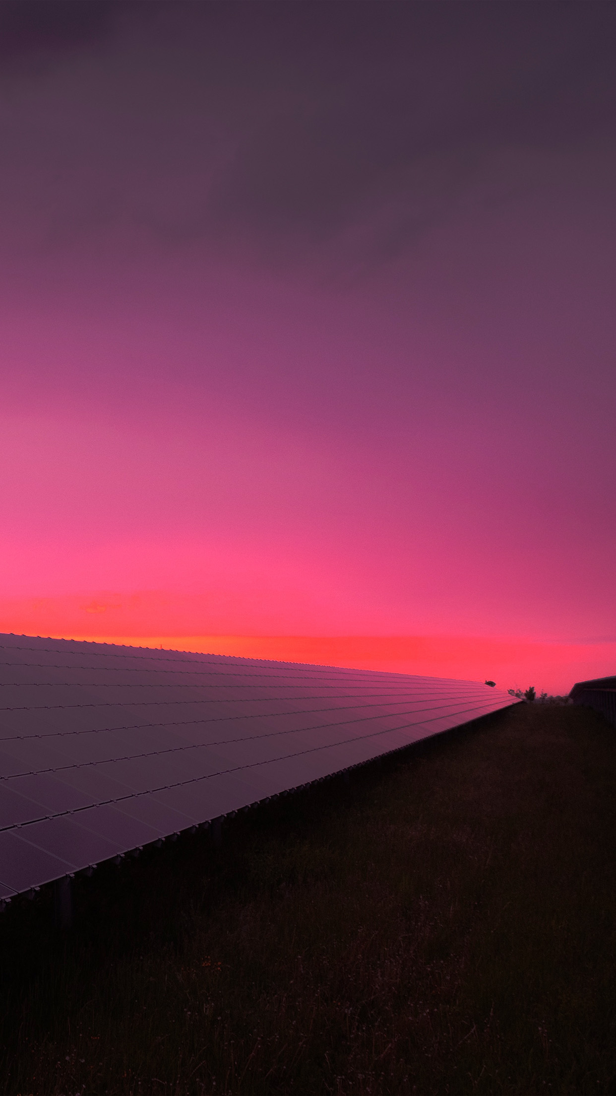 Sunset Sky Building City Red Pink