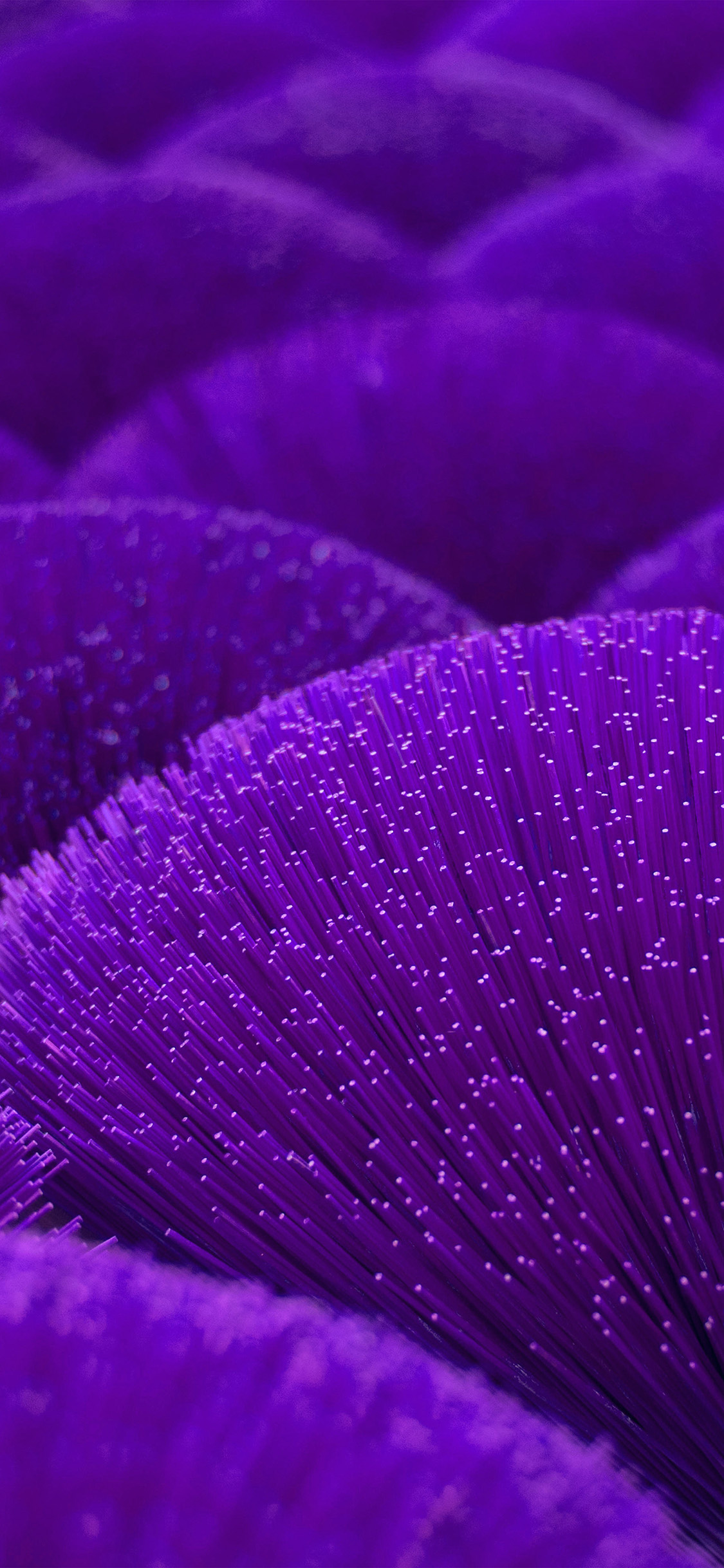 Purple Line Pattern Background Wallpaper