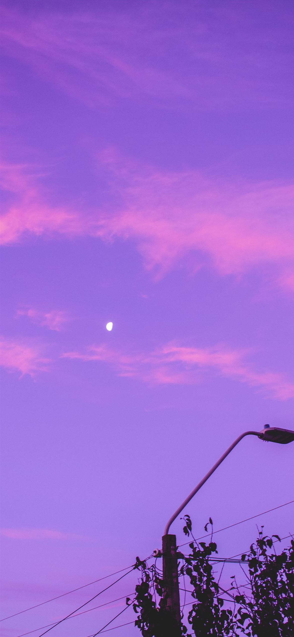 under purple sky iPhone Wallpaper