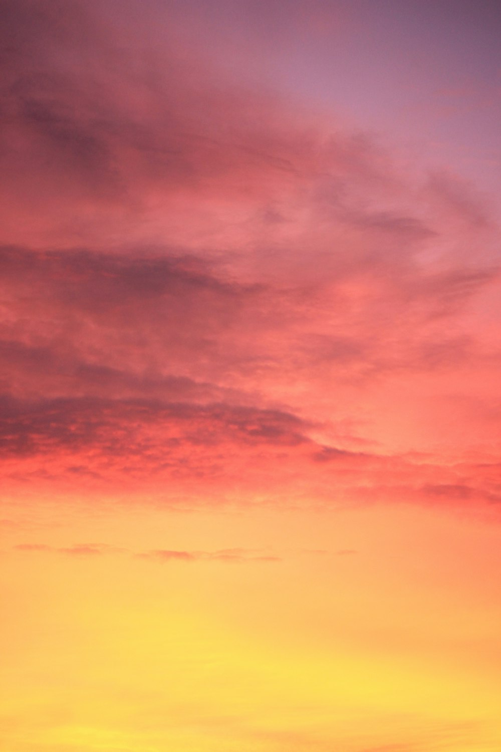 Sunset Pink Picture. Download Free