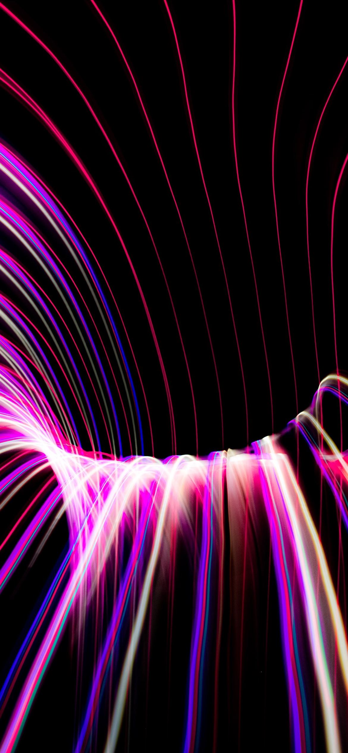 purple and pink light illustration