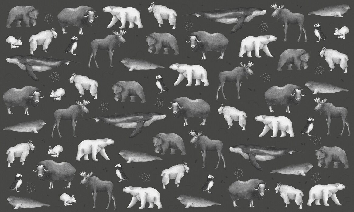 Black And White Wild Animals Wallpapers - Wallpaper Cave