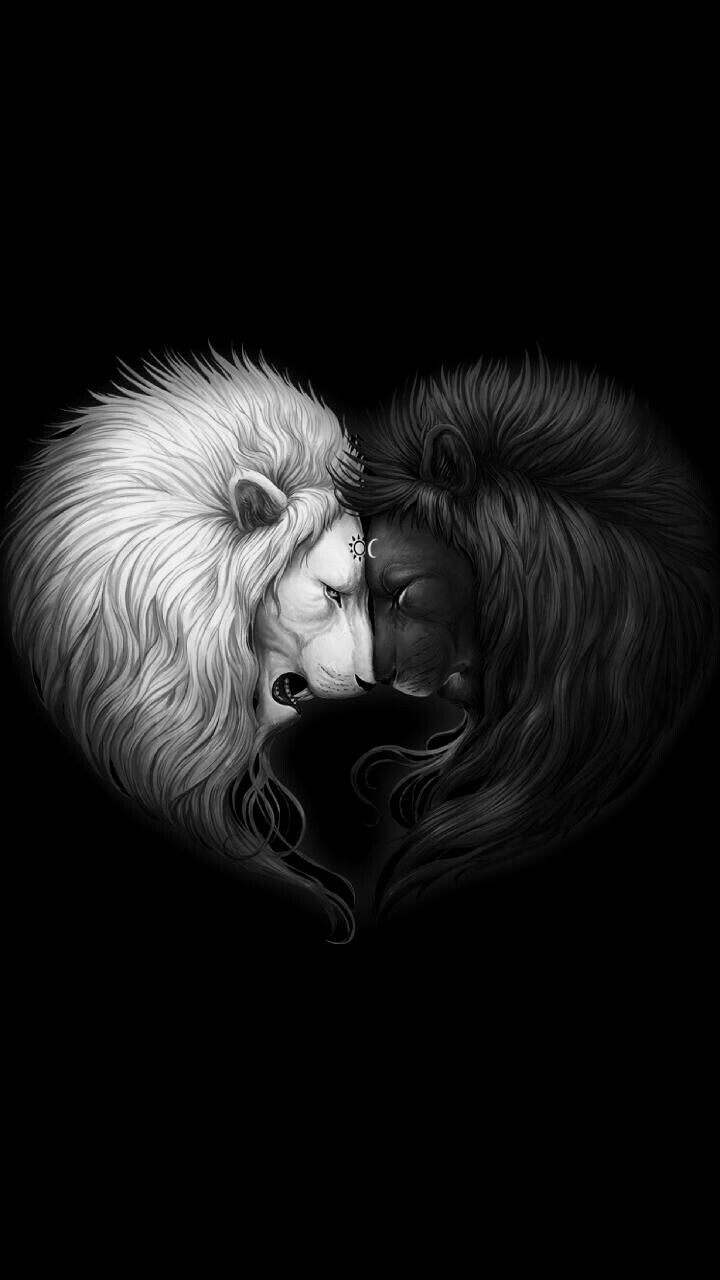 Black and White Lions Wallpaper