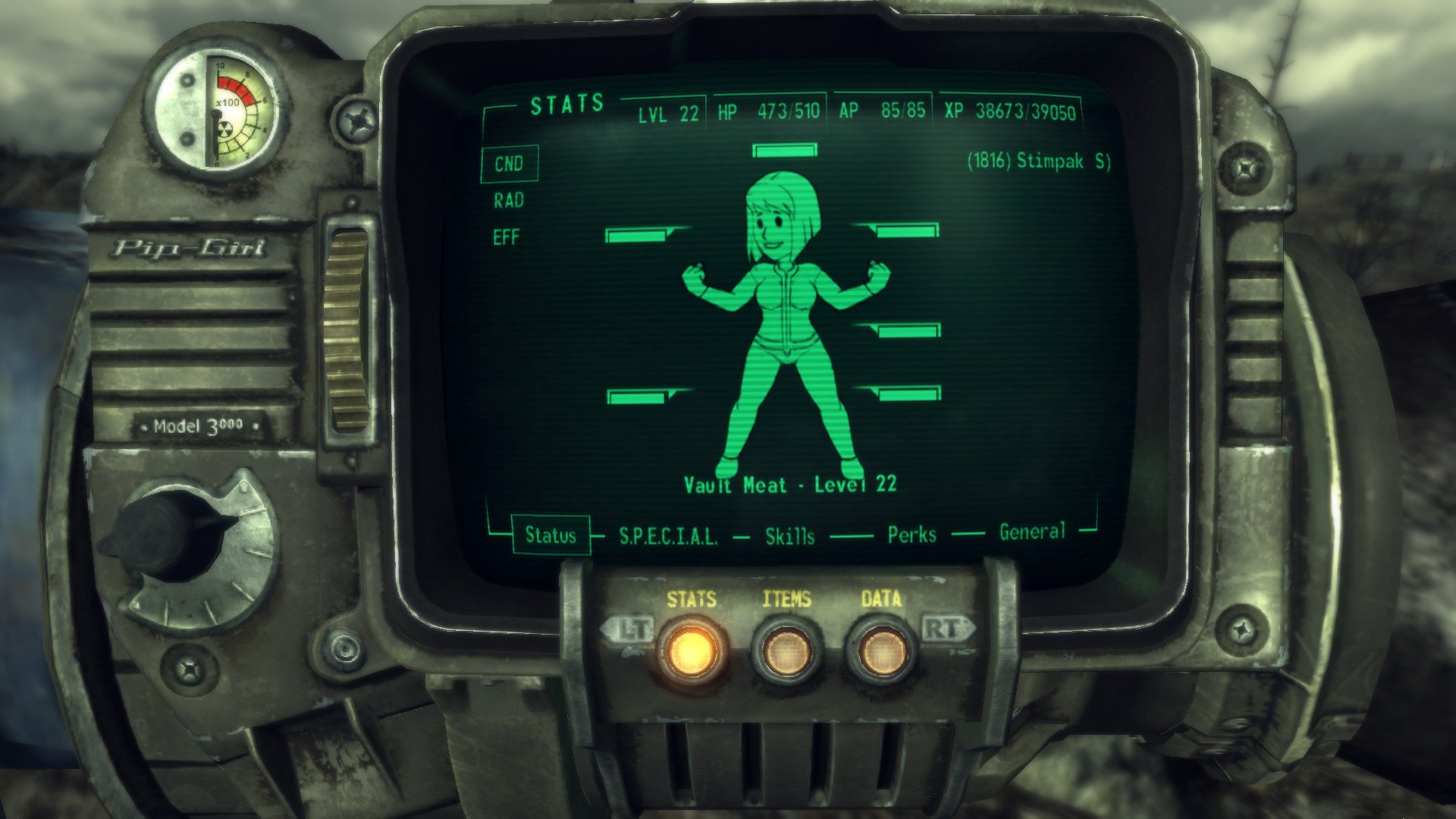 Vault Girl Wallpaper