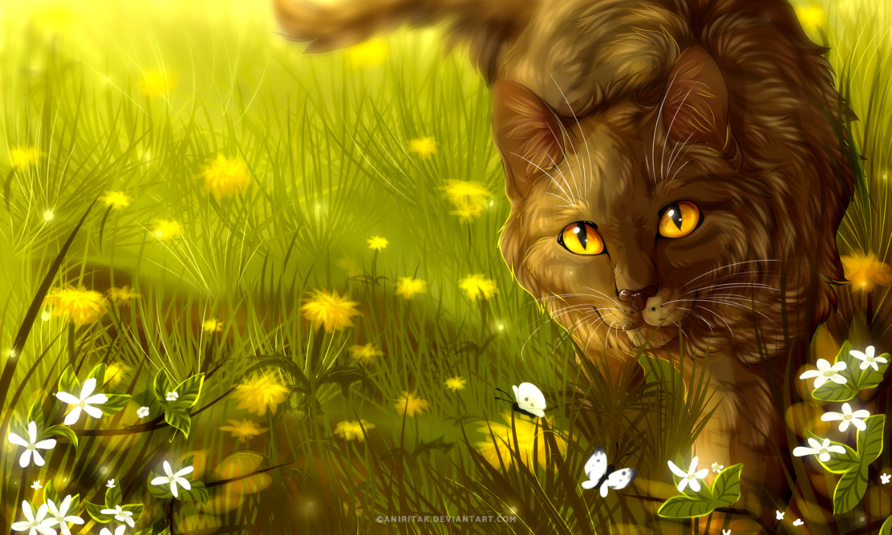 Brambleclaw Wallpapers Wallpaper Cave