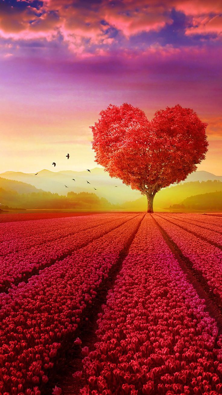 Love Nature Wallpaper HD For Mobile