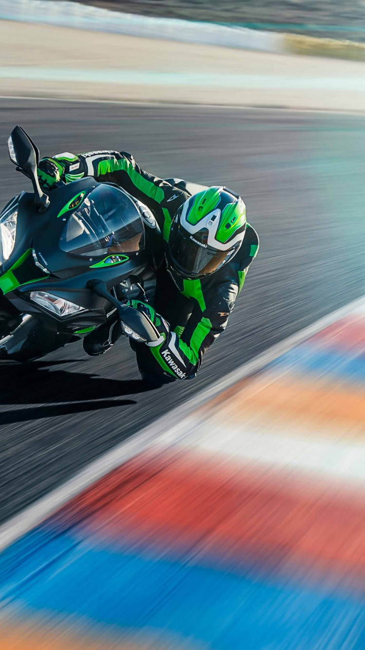 Kawasaki Ninja ZX 10R SE 750x1334