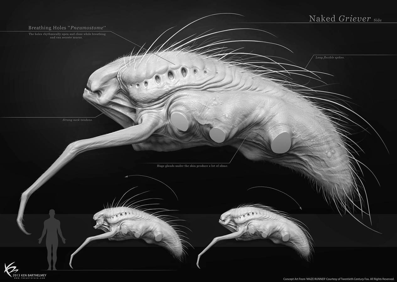 THE MAZE RUNNER Concept Art