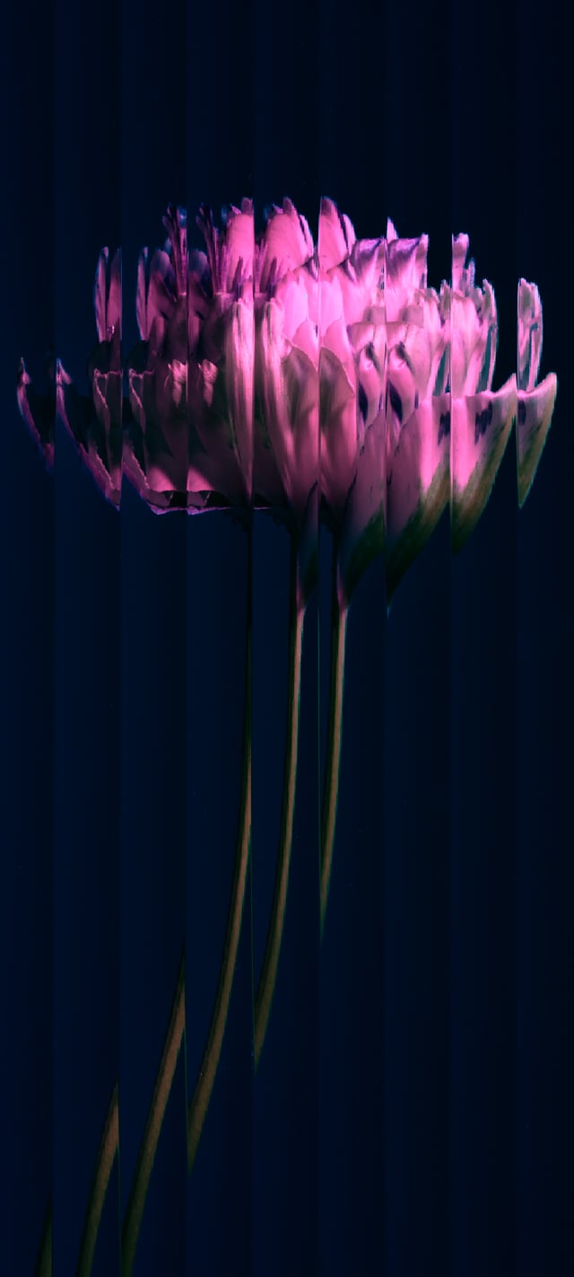 Nothing Phone 1 Alternative Wallpaper