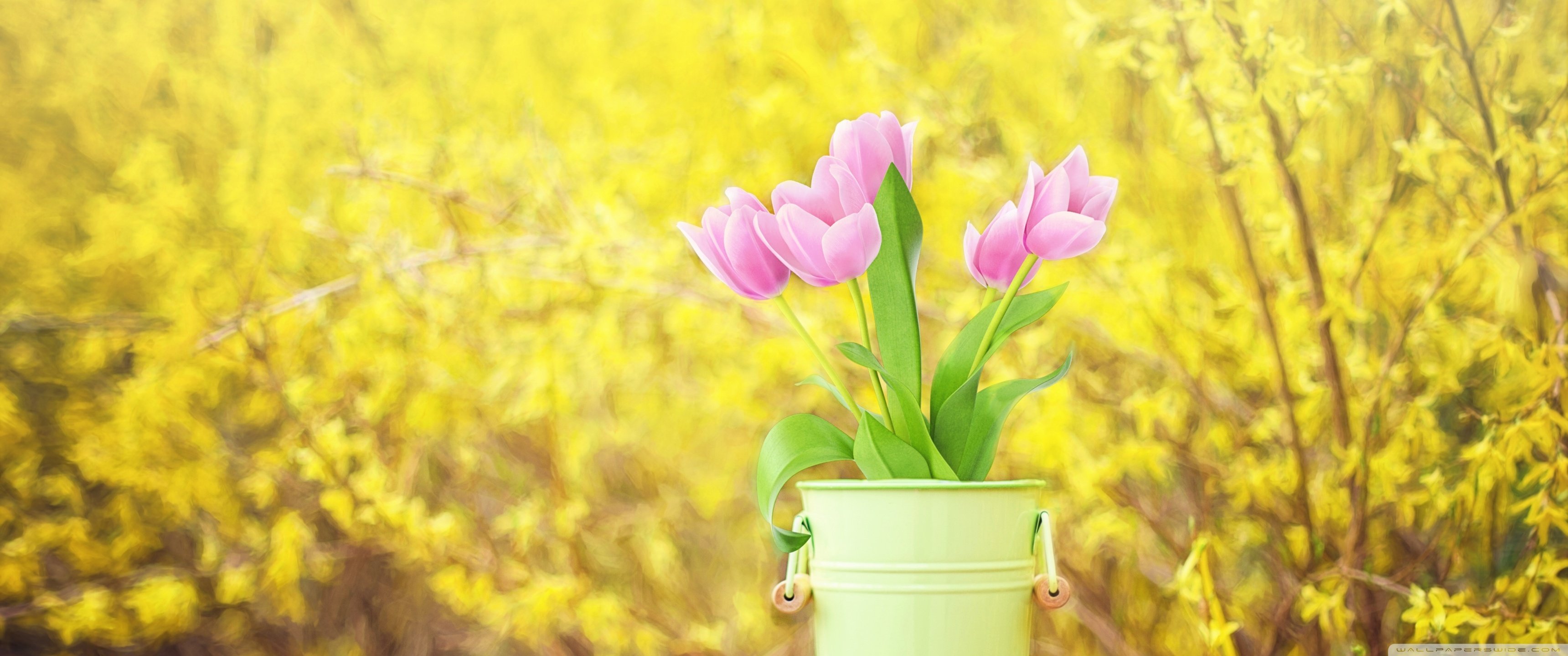 Yellow Spring 3440x1440 Wallpapers - Wallpaper Cave