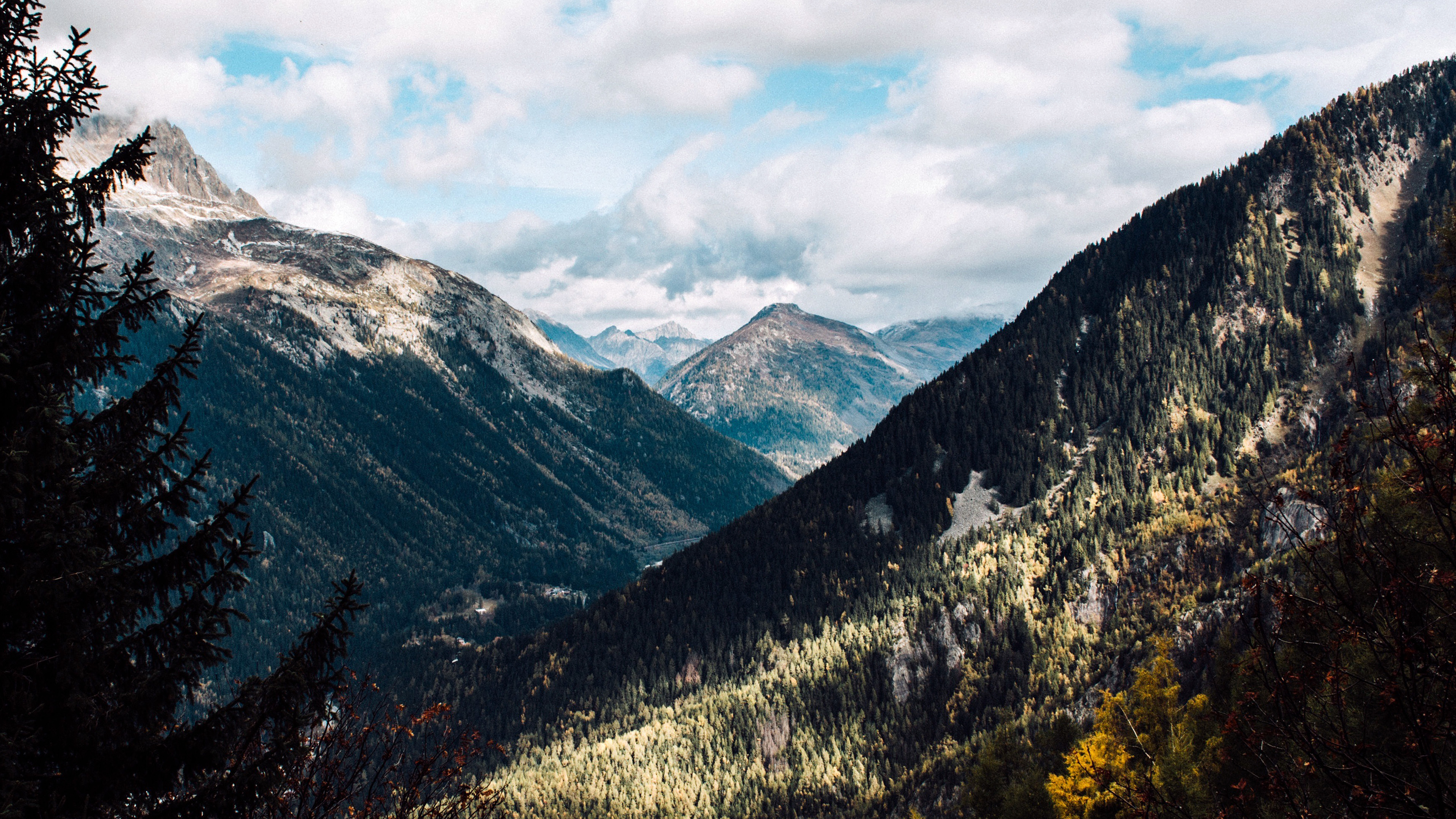 Mountain Forest Summer Wood Nature