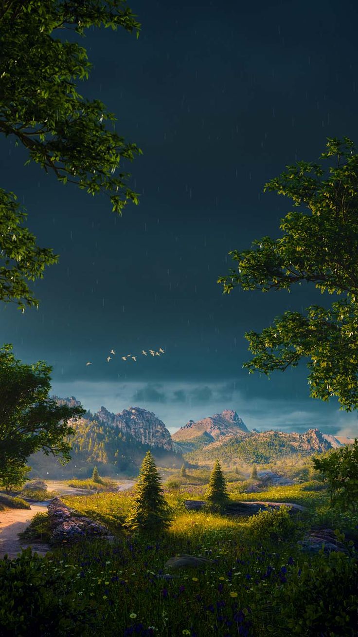 Nature Wallpaper Wallpaper