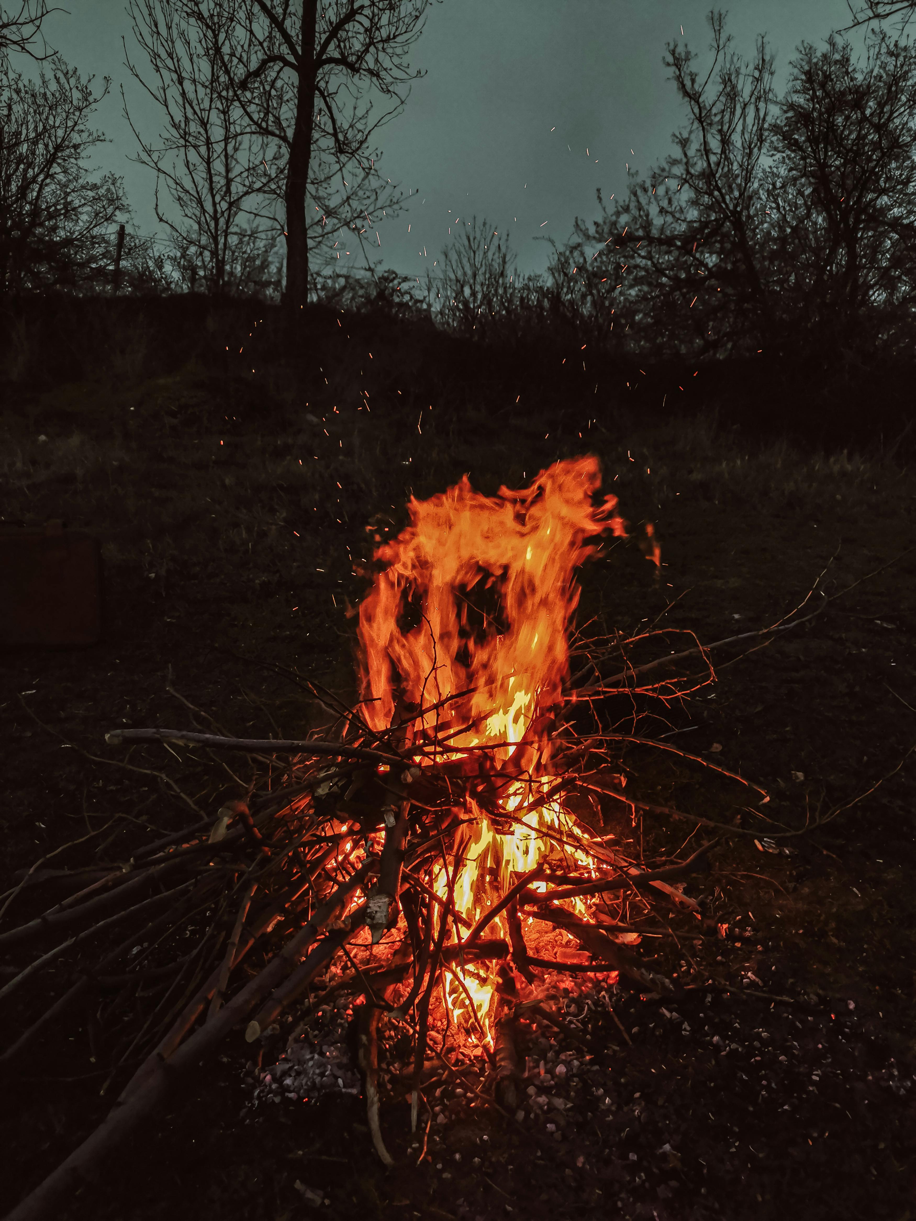 A Bonfire in the Forest · Free