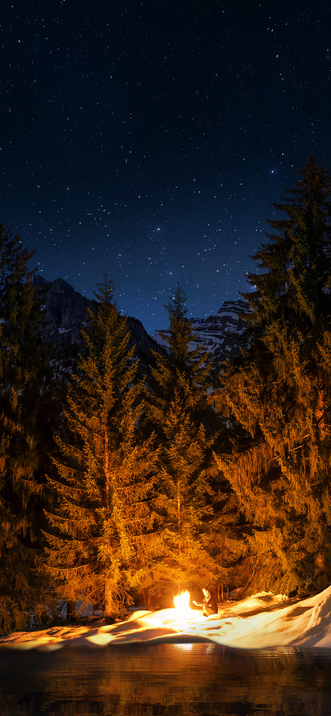 Campfire Forest iPhone XS