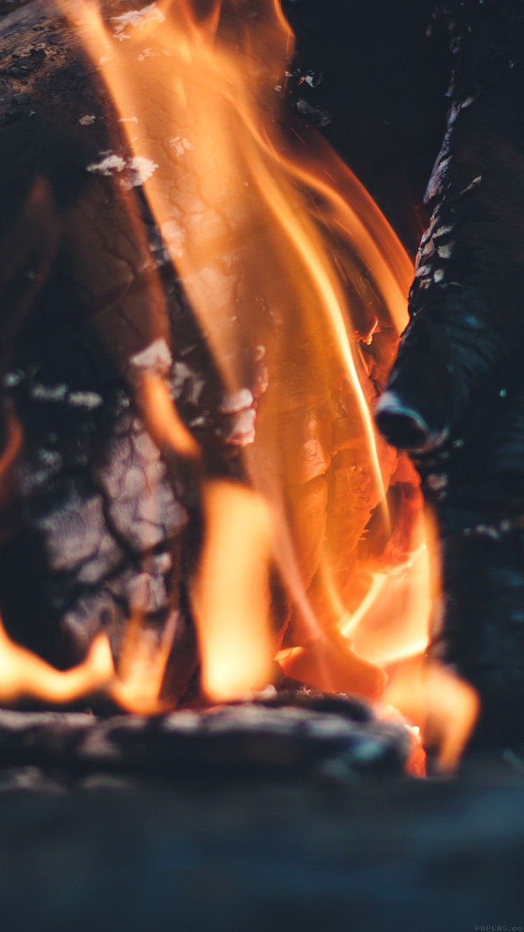 Fire Camp Thomas Lefebvre Nature