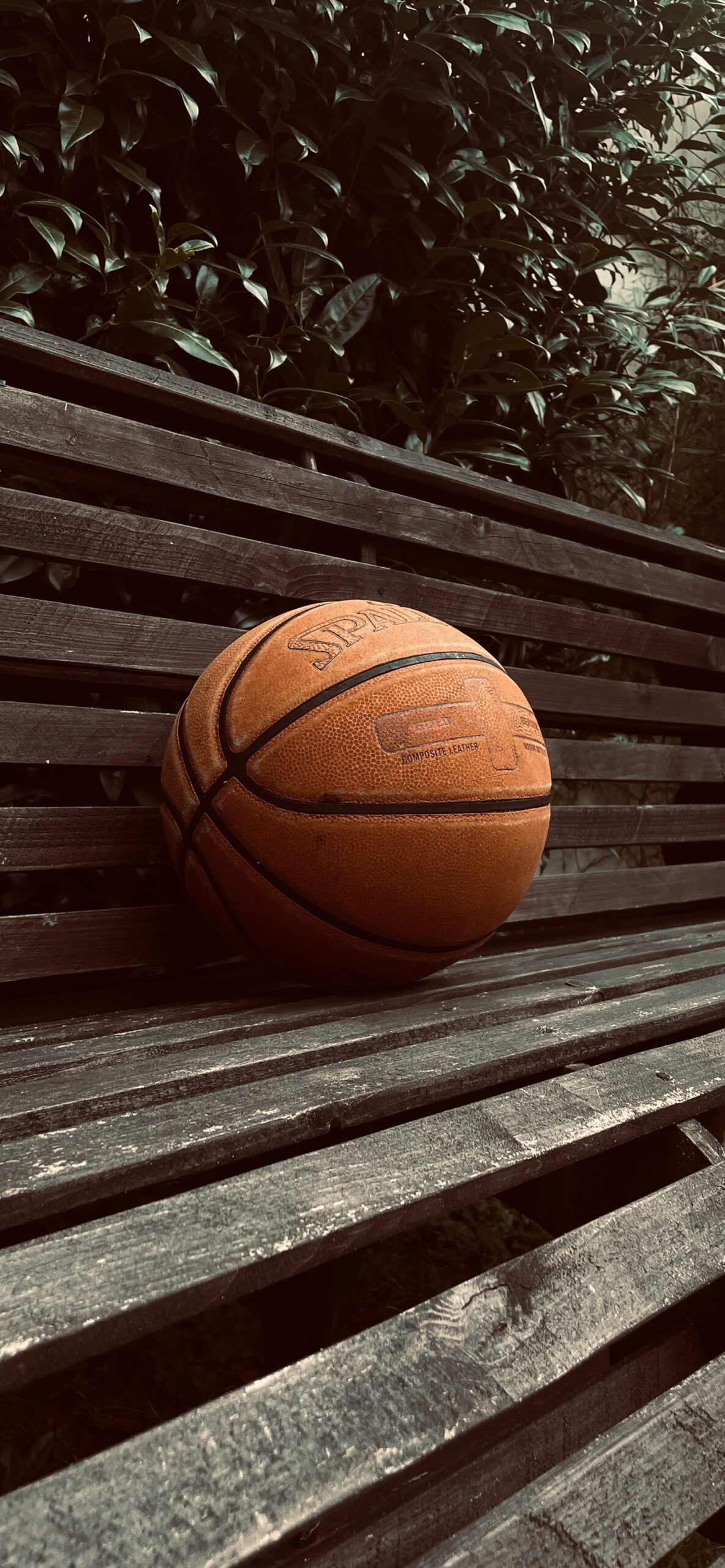 Basketball Wallpaper for iPhone 11, Pro
