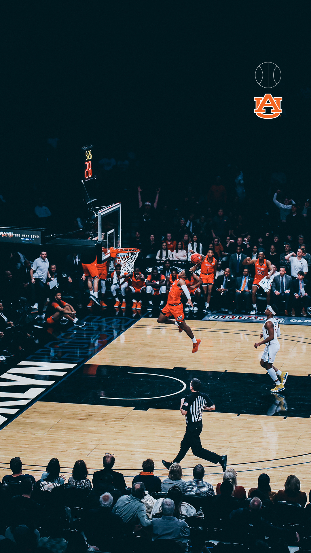 Auburn Basketball