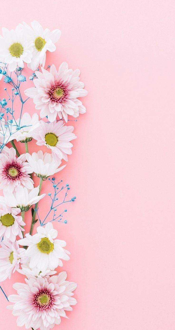 Flower background wallpaper, Pink