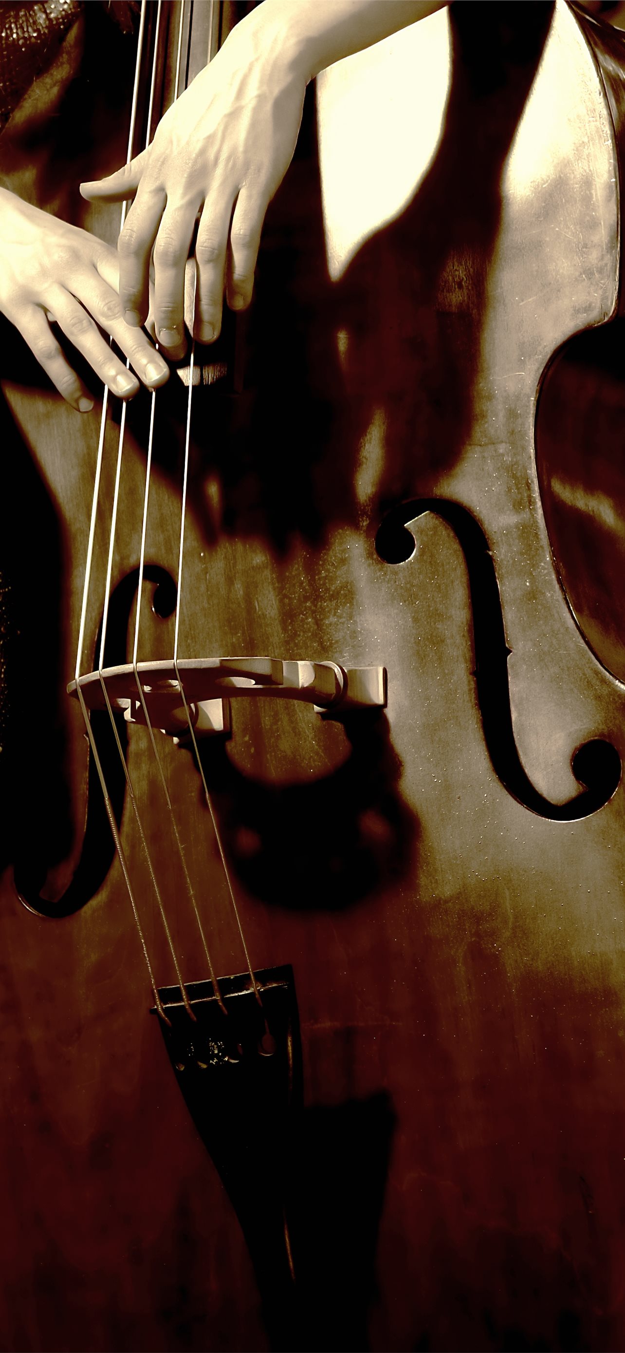 Best Double bass iPhone HD Wallpaper