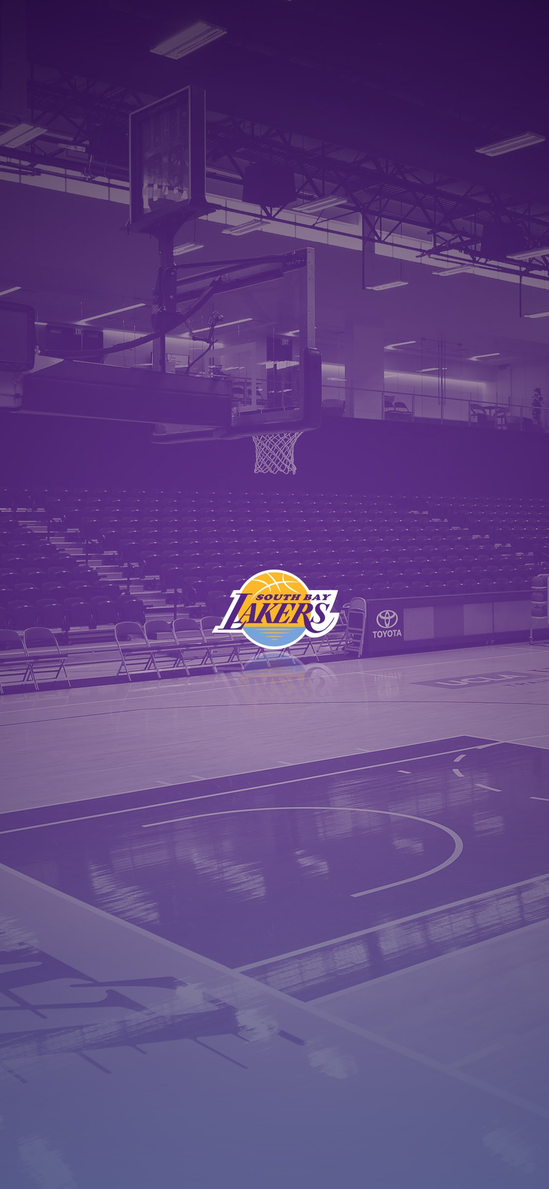 Wallpaper Bay Lakers