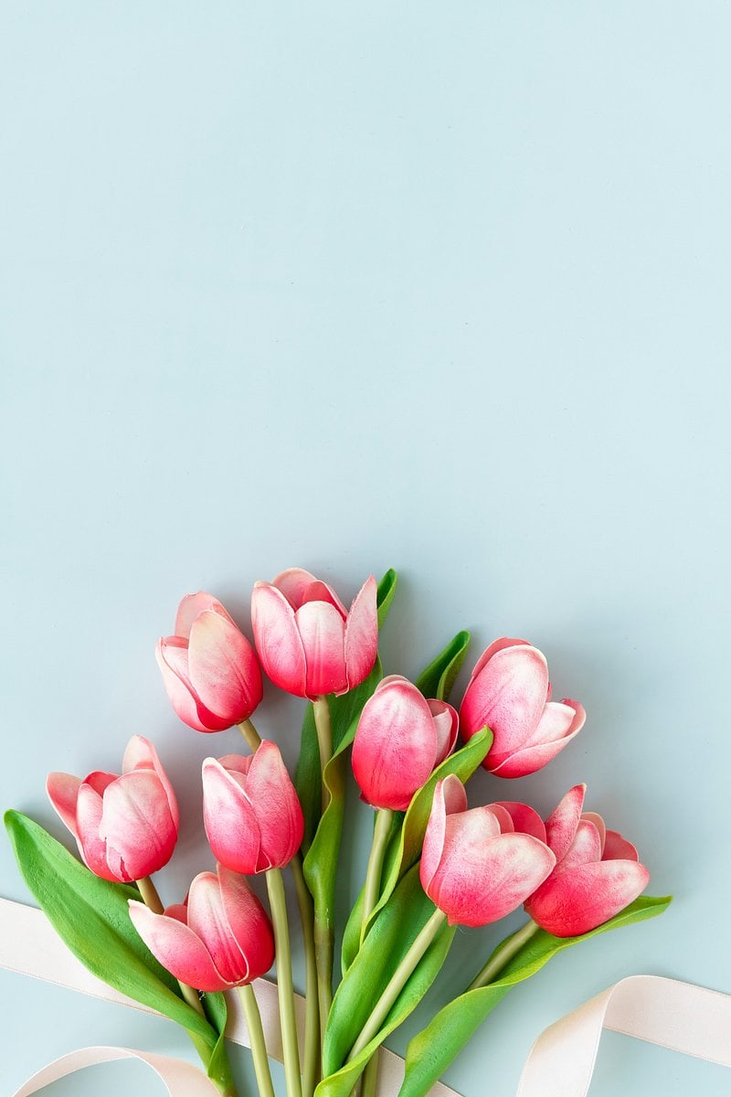 Tulips Aesthetic Wallpapers - Wallpaper Cave