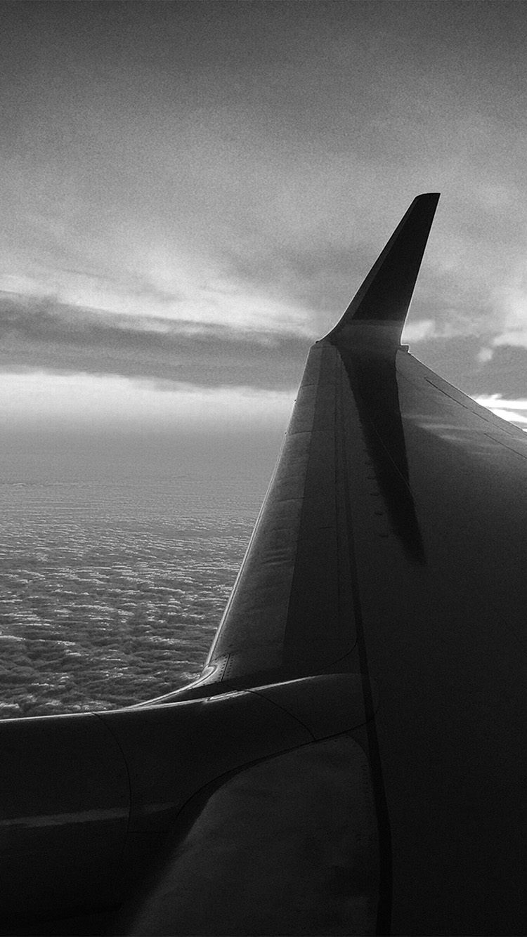 Fly Travel Sunset Red Nature Air