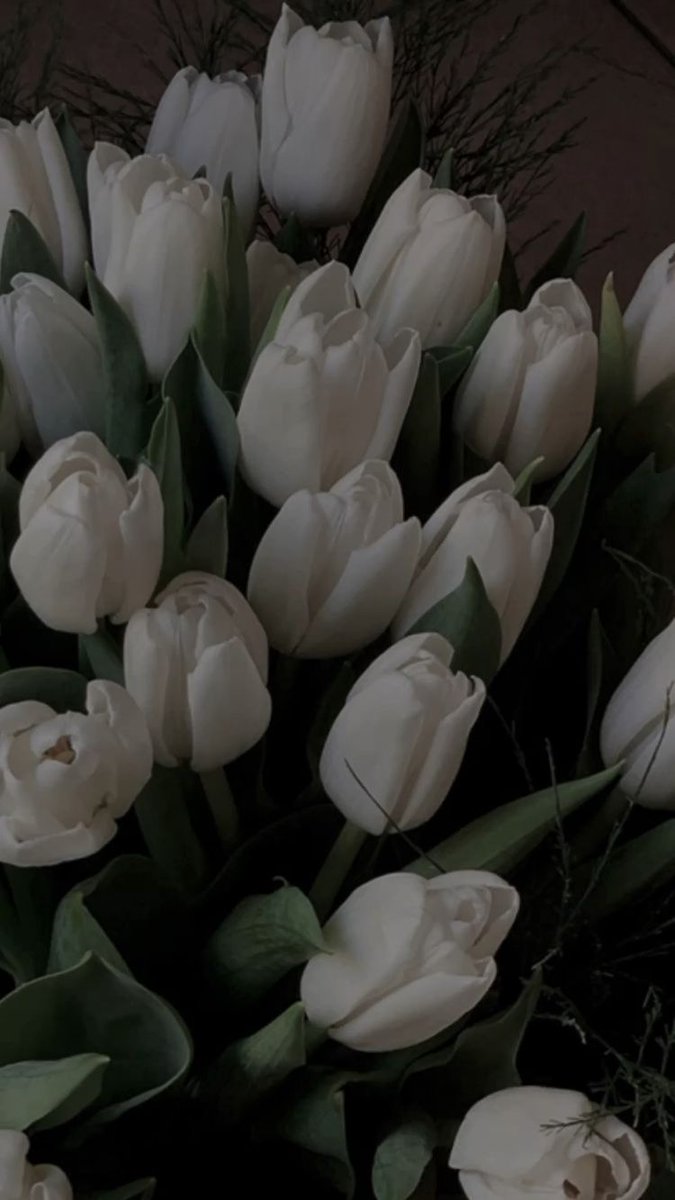 white tulips bouquet