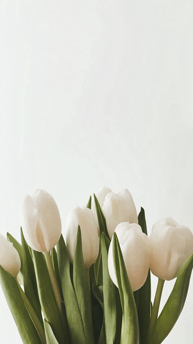 Tulips. Vintage flowers wallpaper