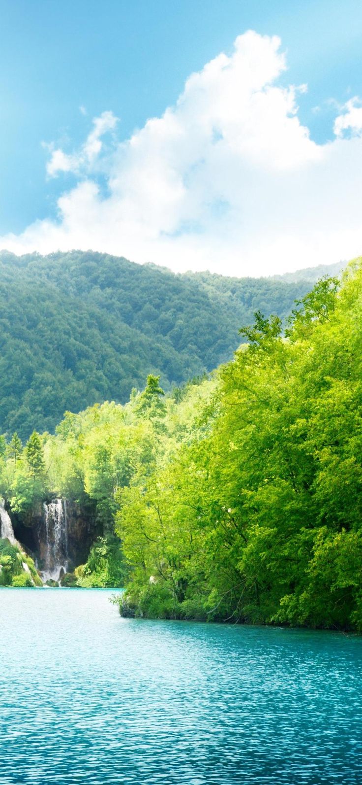 Nature Summer Phone Wallpaper 4k