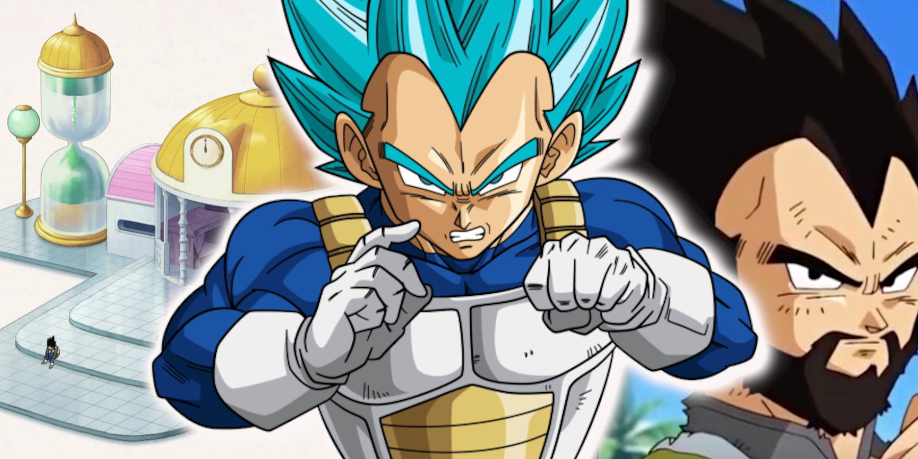 Vegeta Used the Hyperbolic Time Chamber