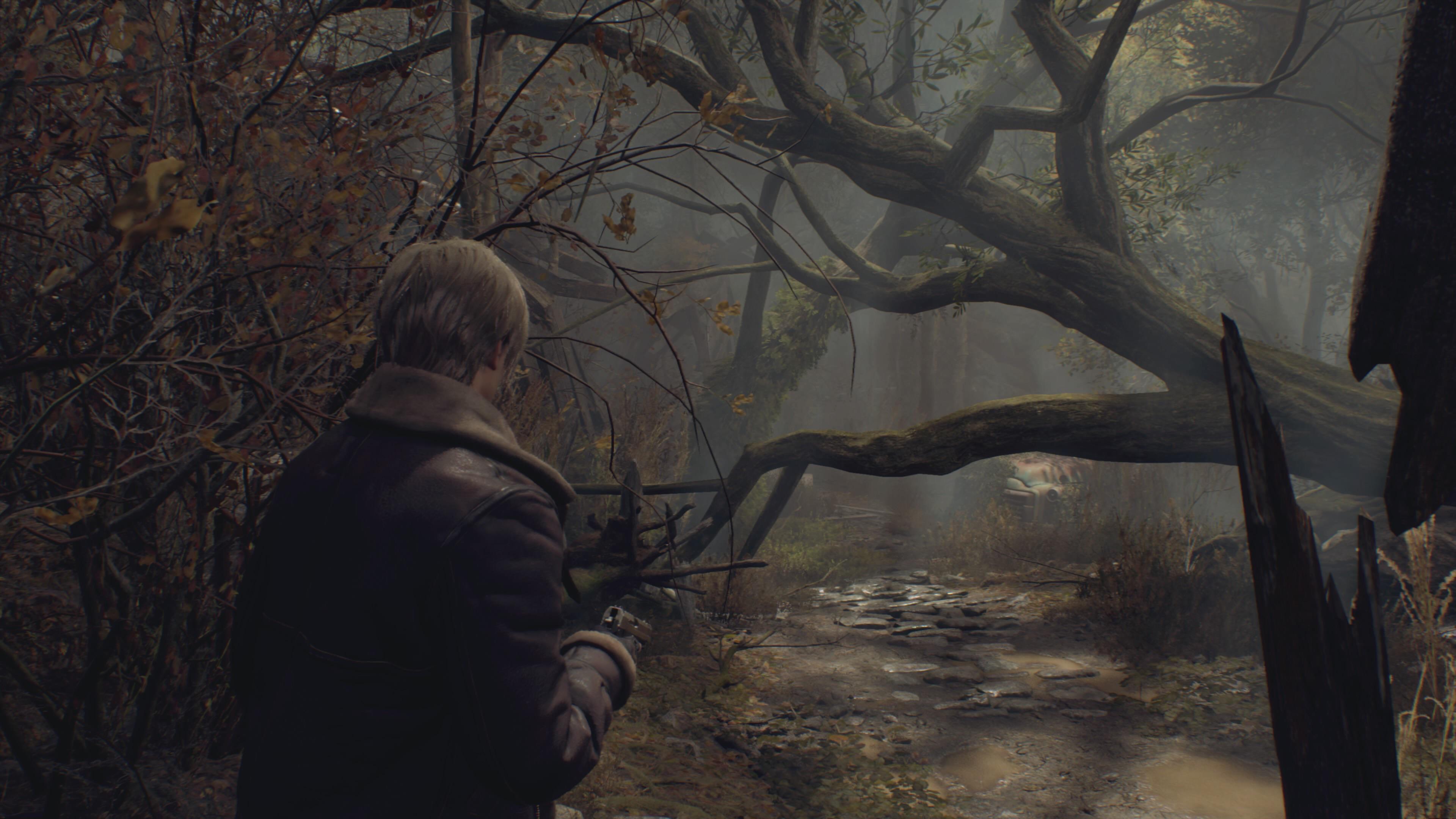 The new re4 remake is giving me some