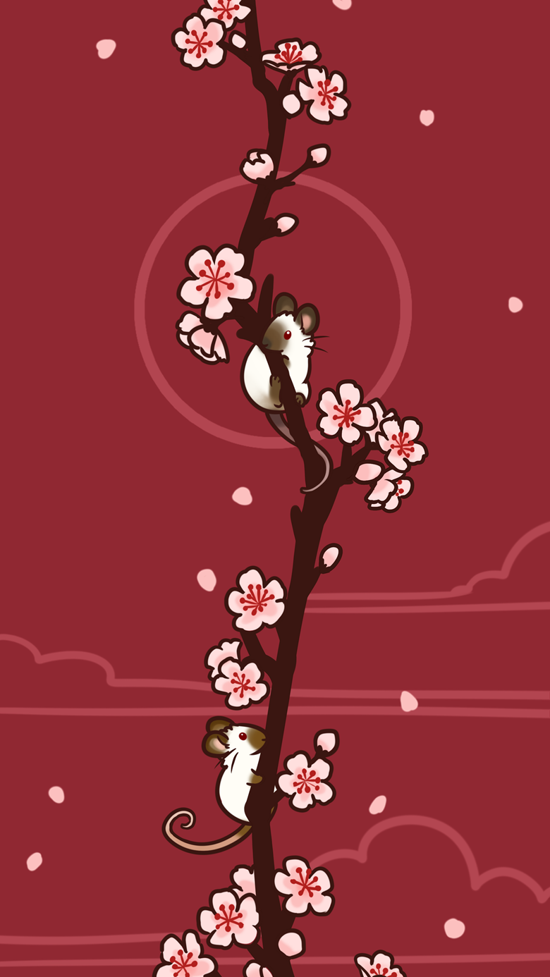 Sakura Branch phone wallpaper