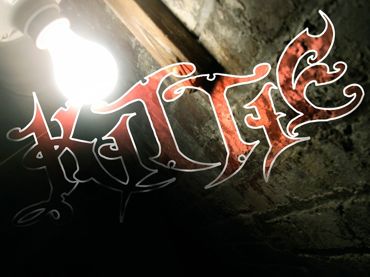 Download Kittie wallpaper for mobile