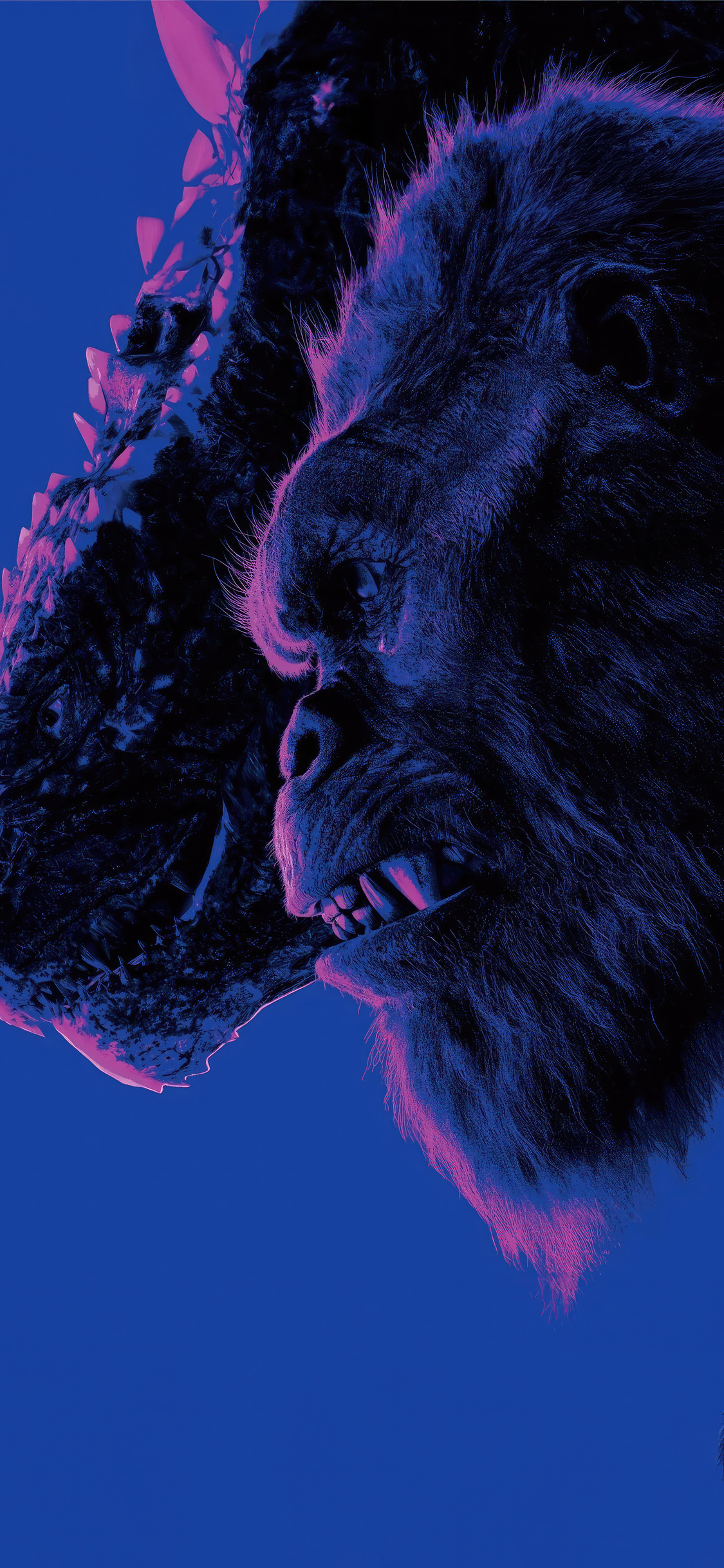 Godzilla X Kong The New