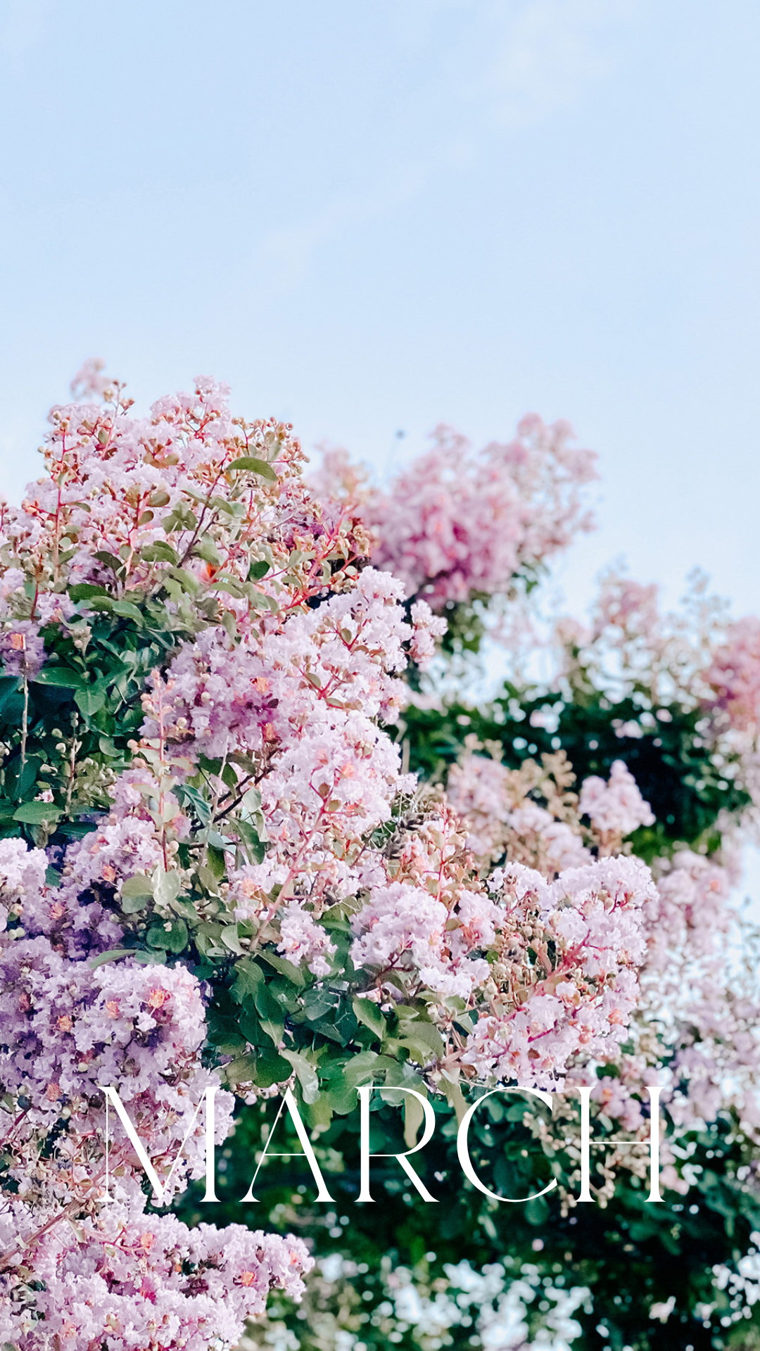 Spring Tech Background