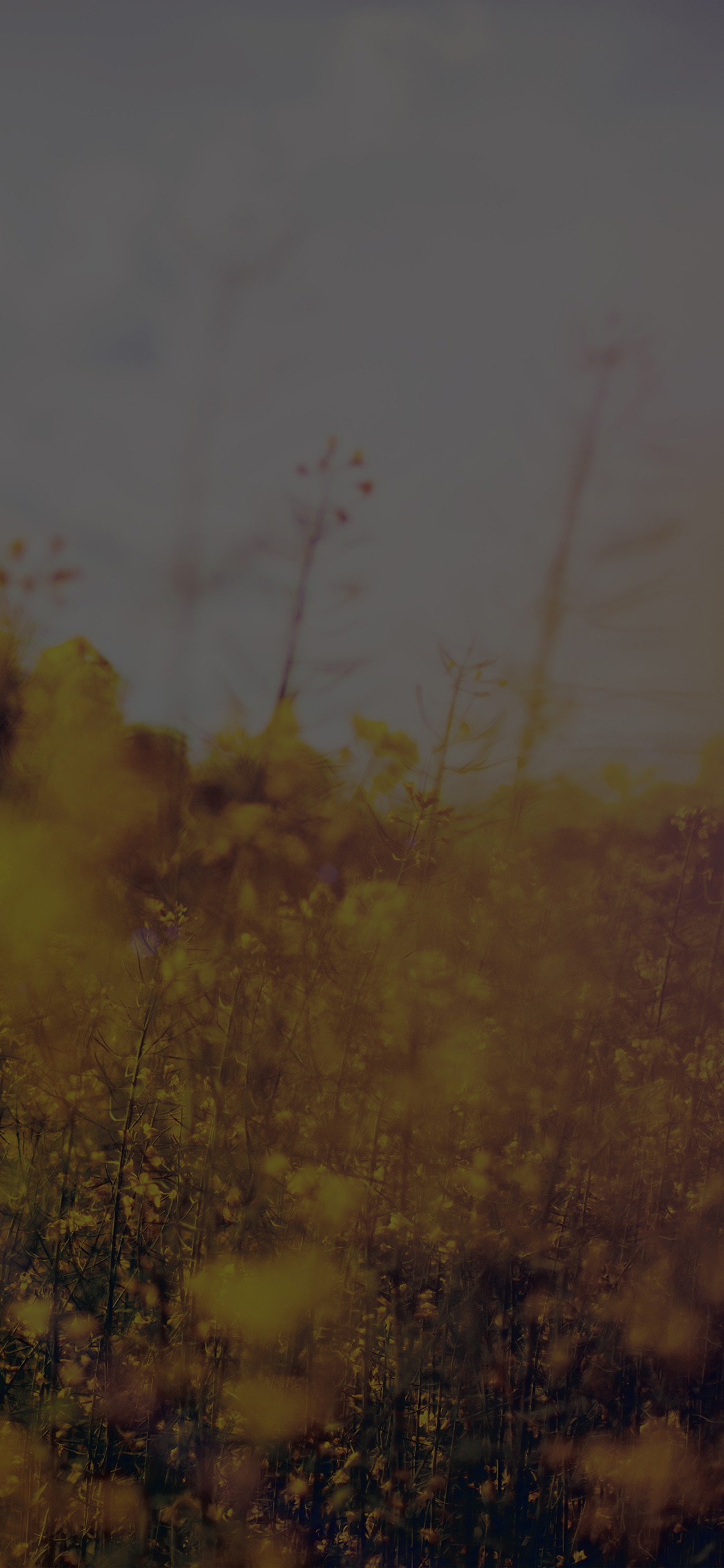 Nature Green Flower Bokeh Spring