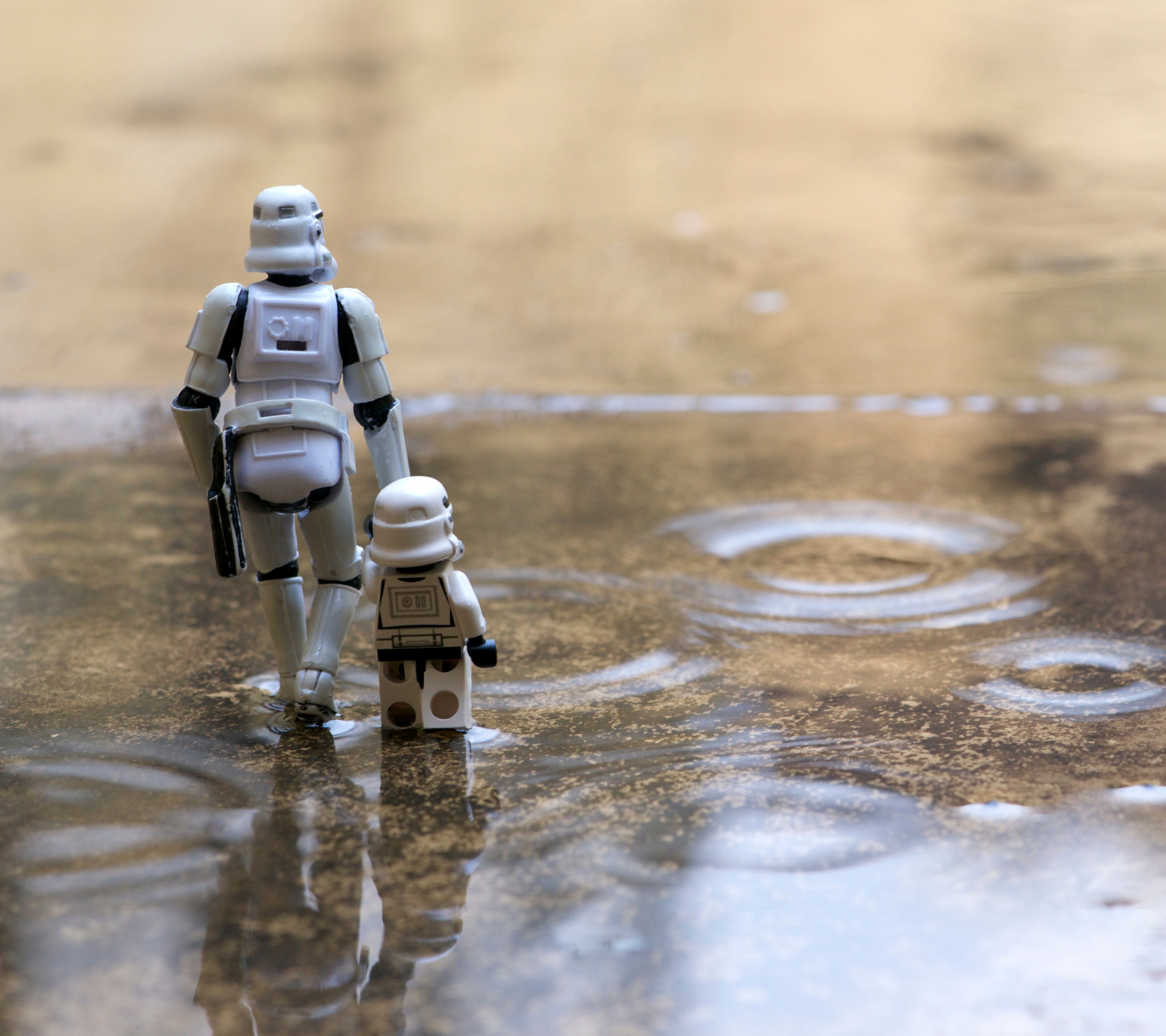 HD desktop wallpaper: Funny, Star Wars