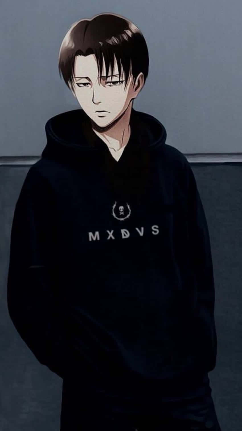 Download Levi Pfp In Hoodie Wallpaper