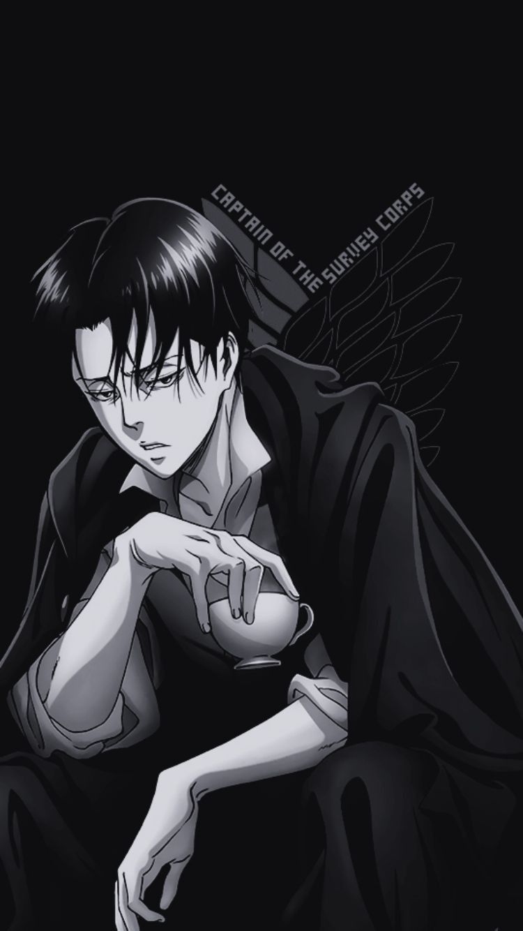 Attack on titan, Levi ackerman, Attack