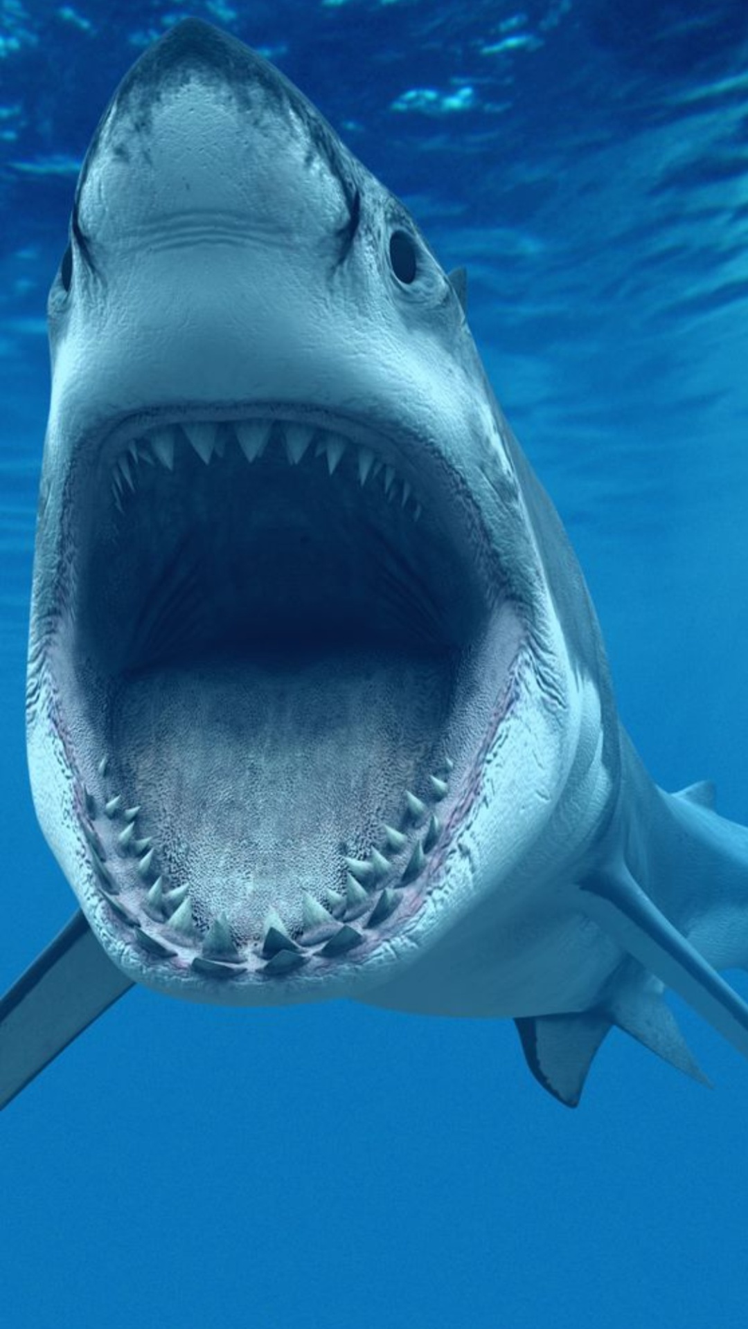 Best Shark Wallpaper [ HQ ]