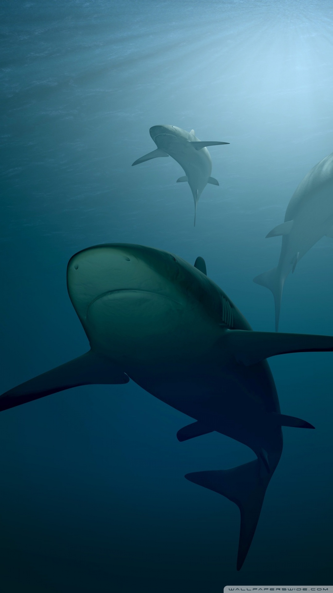 Sharks 3D Ultra HD Desktop Background