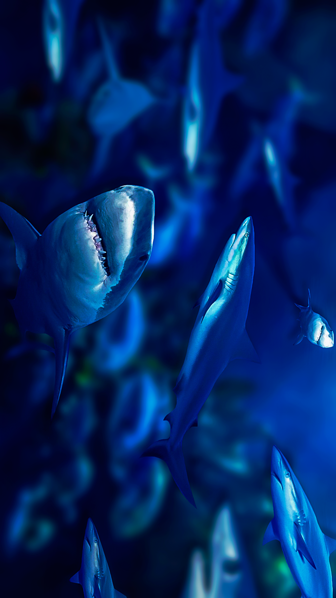 Sharks Mobile WallpaperK