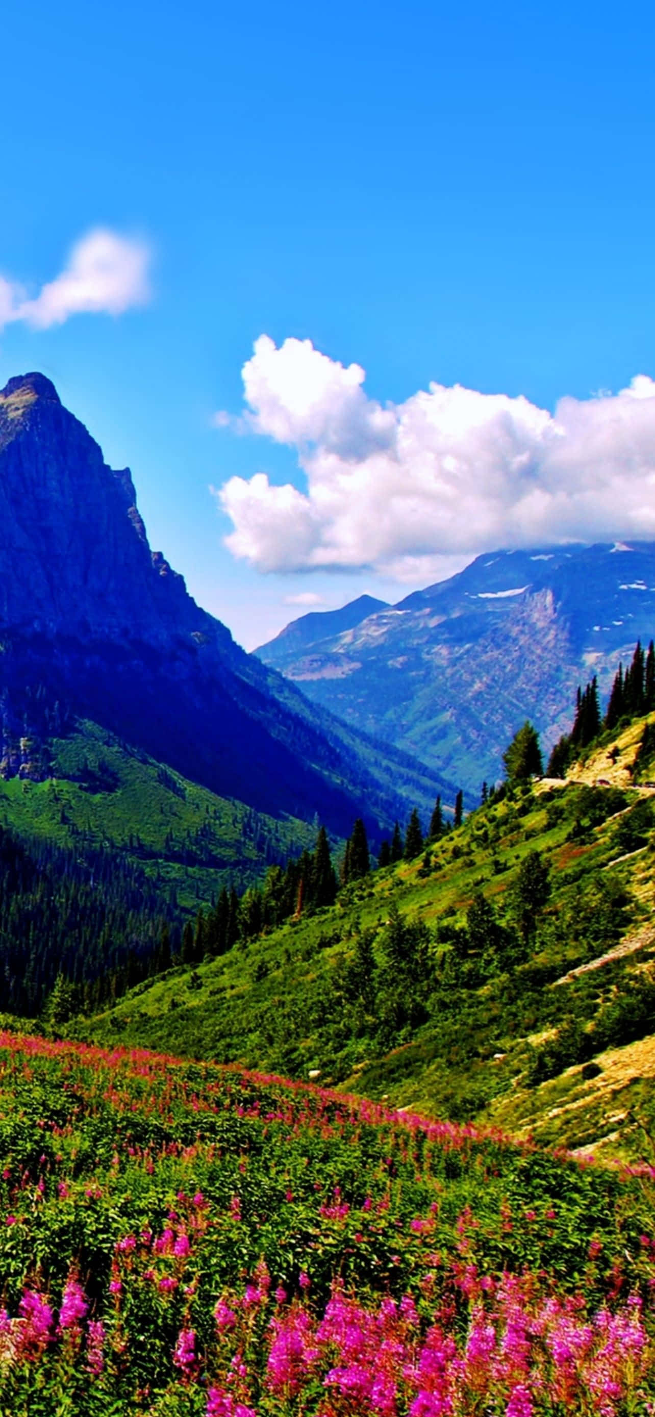 Download Captivating Mountain Landscape