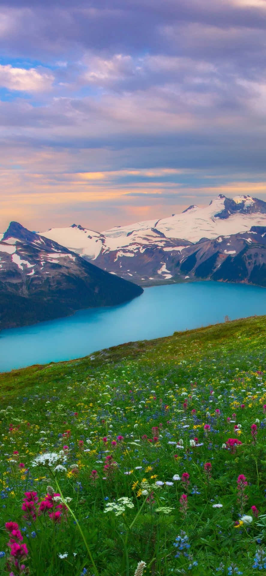 Download Captivating Mountain Landscape